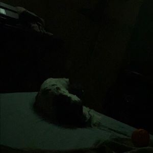 Meet your Posher, Christopher